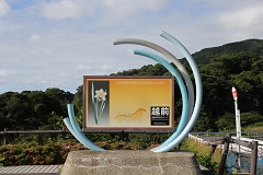 僉h